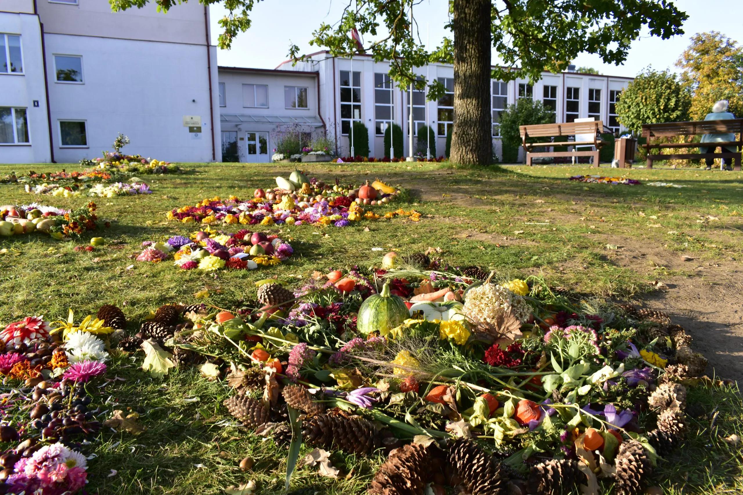 Attēls Ķirbis 2020